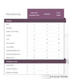 ERP小金剛Pro專業大比拼 Dynamics 365、NetSuite與Odoo定制化深度解析